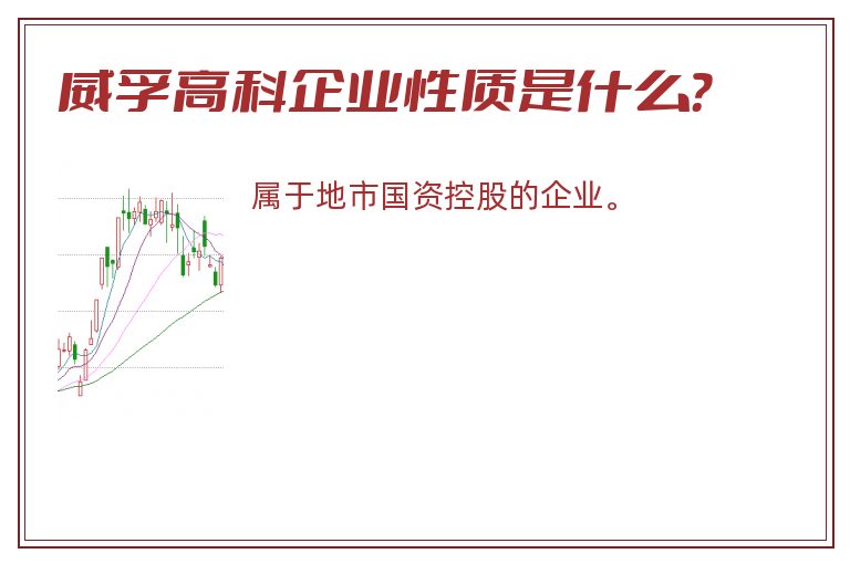威孚高科企业性质是什么？