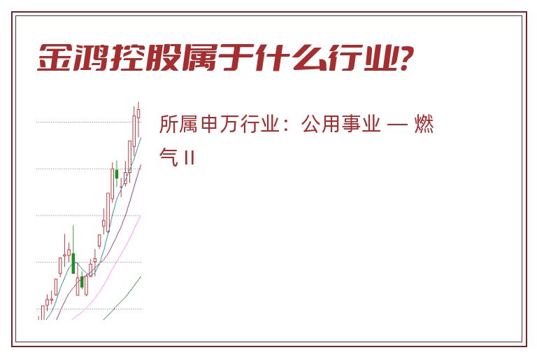 金鸿控股属于什么行业?.jpg 金鸿控股.jpg