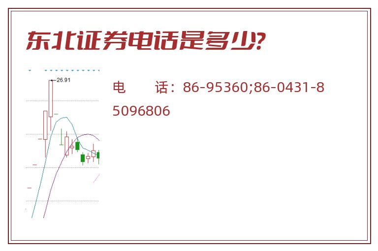 东北证券电话是多少？