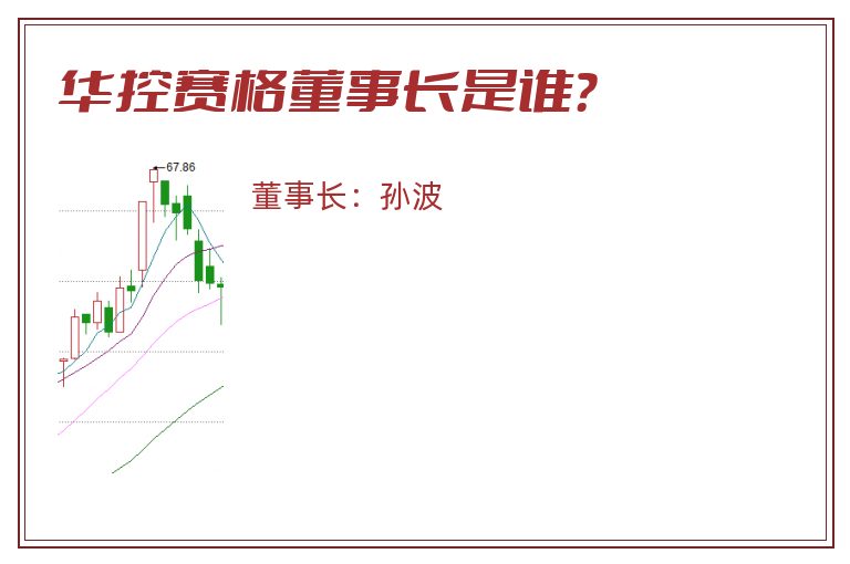 华控赛格董事长是谁？