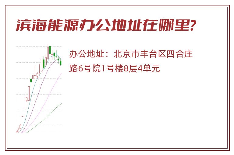滨海能源办公地址在哪里？