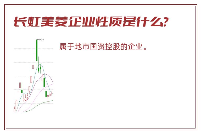 长虹美菱企业性质是什么？