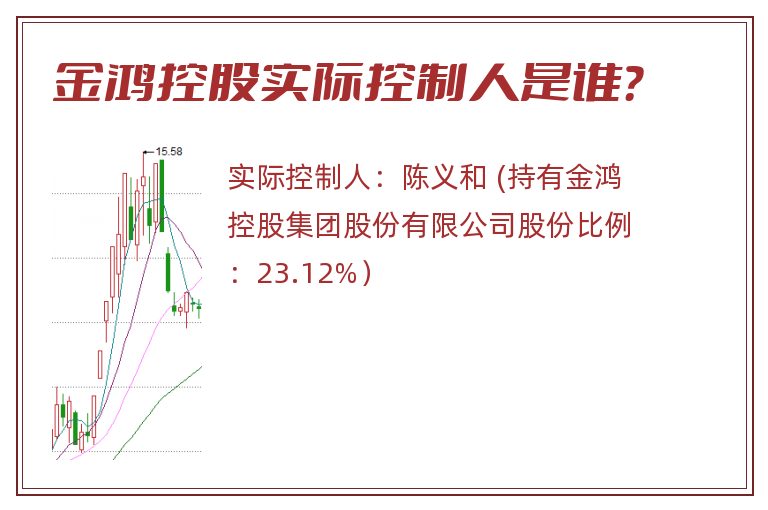 金鸿控股实际控制人是谁？