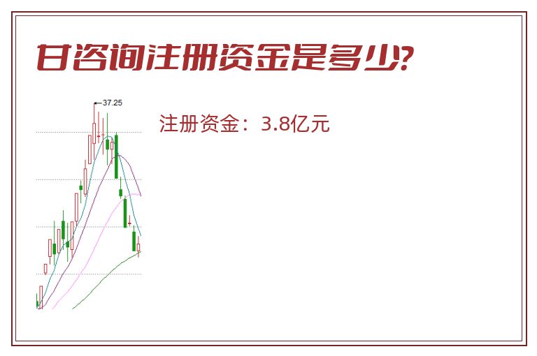 甘咨询注册资金是多少？