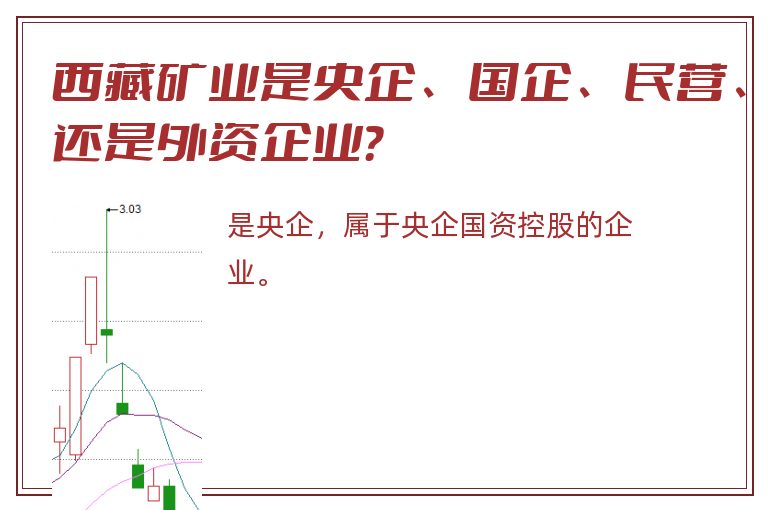 西藏矿业是央企、国企、民营、还是外资企业？
