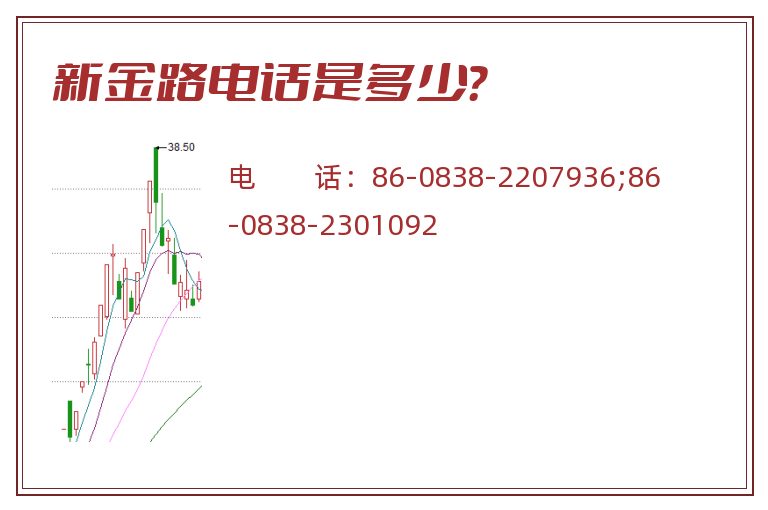 新金路电话是多少？