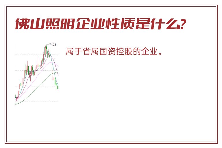 佛山照明企业性质是什么？