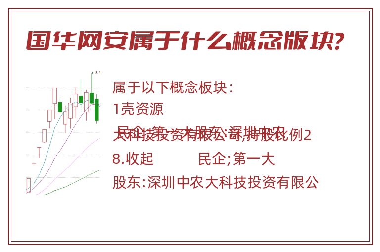 国华网安属于什么概念版块？