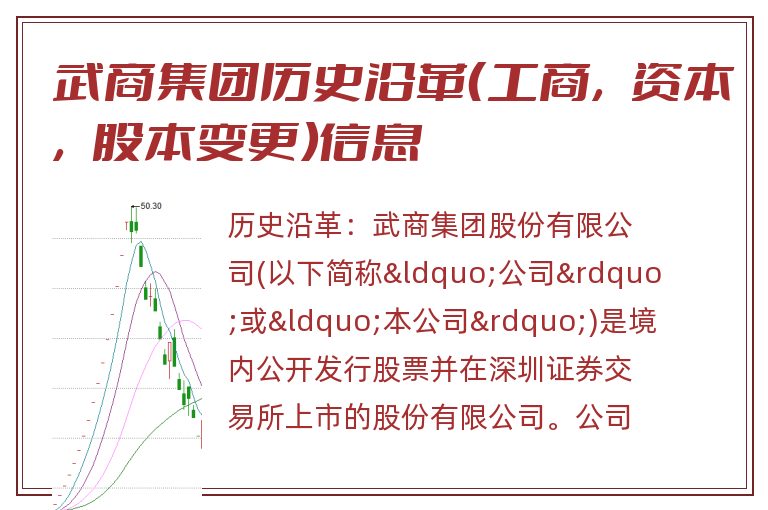 武商集团历史沿革(工商,资本,股本变更)信息.jpg 武商集团.jpg