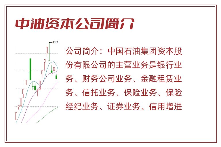 中油资本公司简介