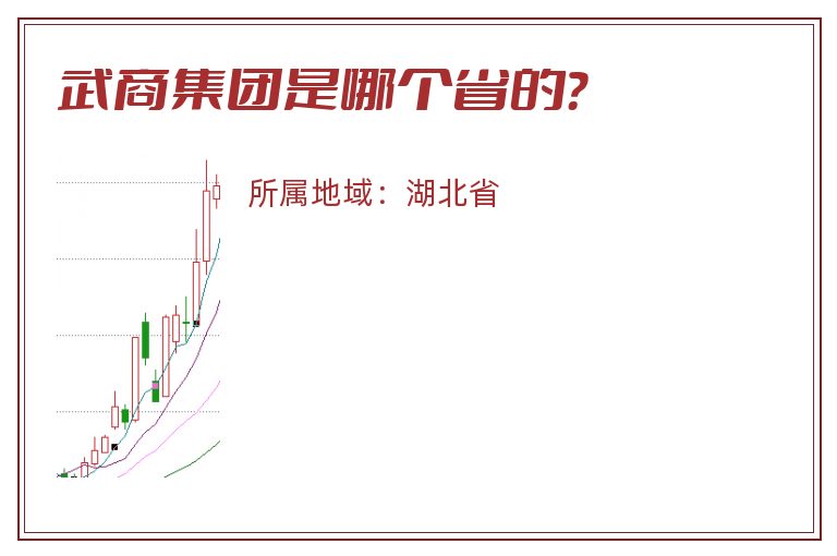 武商集团是哪个省的？
