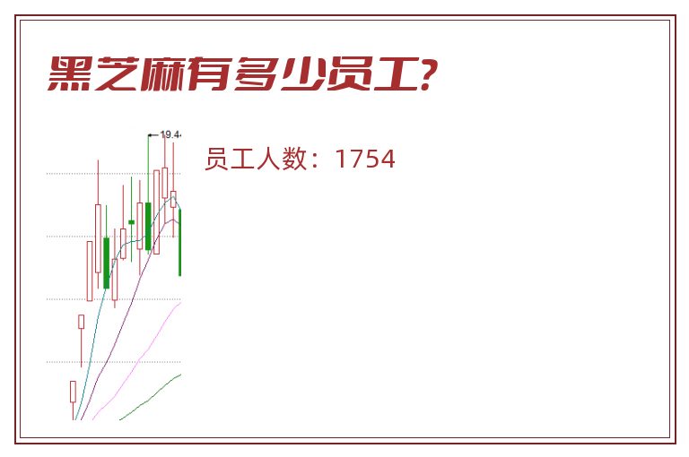 黑芝麻有多少员工?.jpg 黑芝麻.jpg