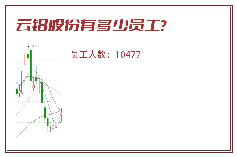 云铝股份有多少员工?.jpg 云铝股份.jpg