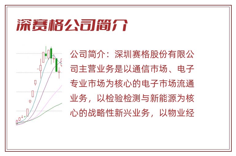 深赛格公司简介