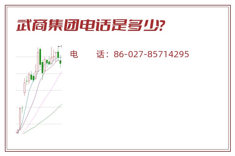 武商集团电话是多少？