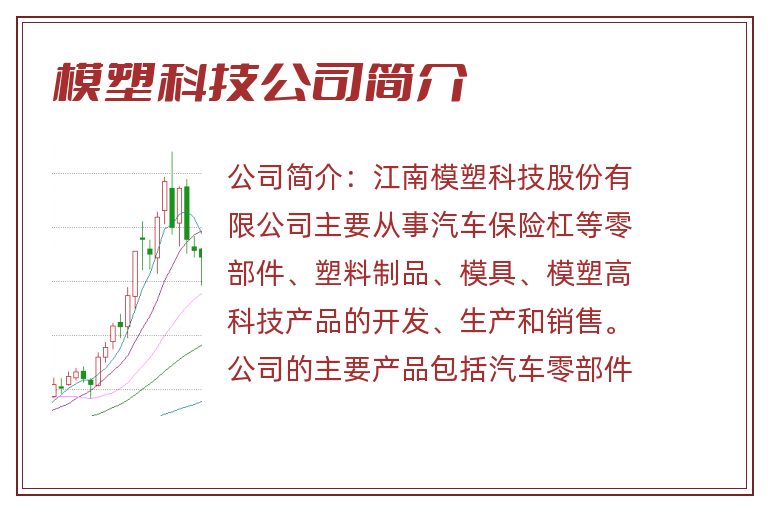 模塑科技公司简介