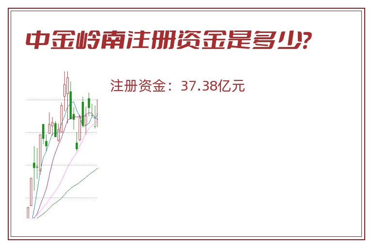 中金岭南注册资金是多少？
