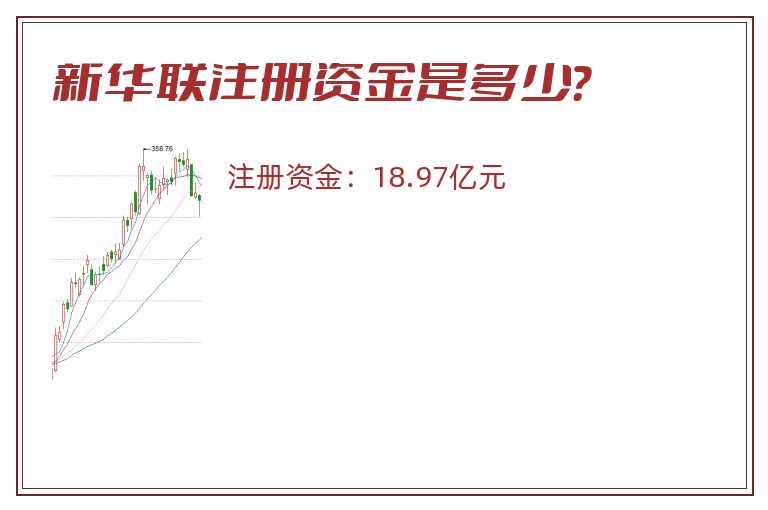新华联注册资金是多少？