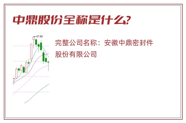 中鼎股份全称是什么？