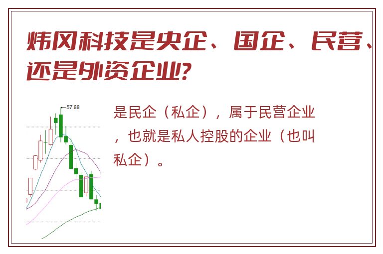 炜冈科技是央企、国企、民营、还是外资企业？
