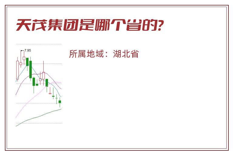 天茂集团是哪个省的？