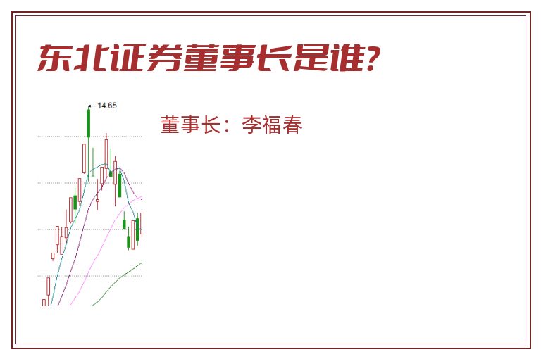 东北证券董事长是谁？