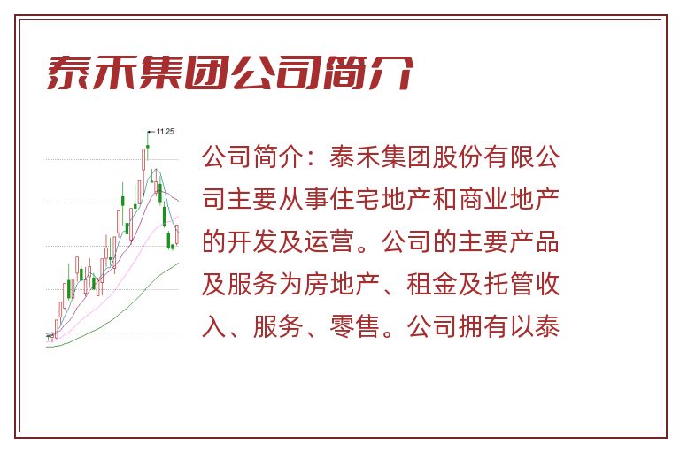 泰禾集团公司简介