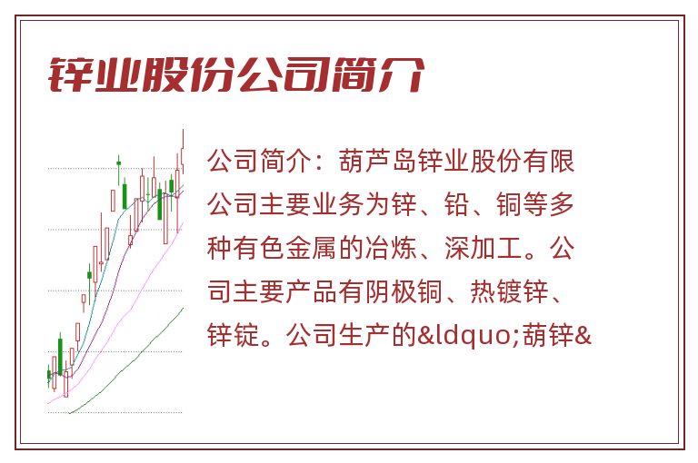 锌业股份公司简介