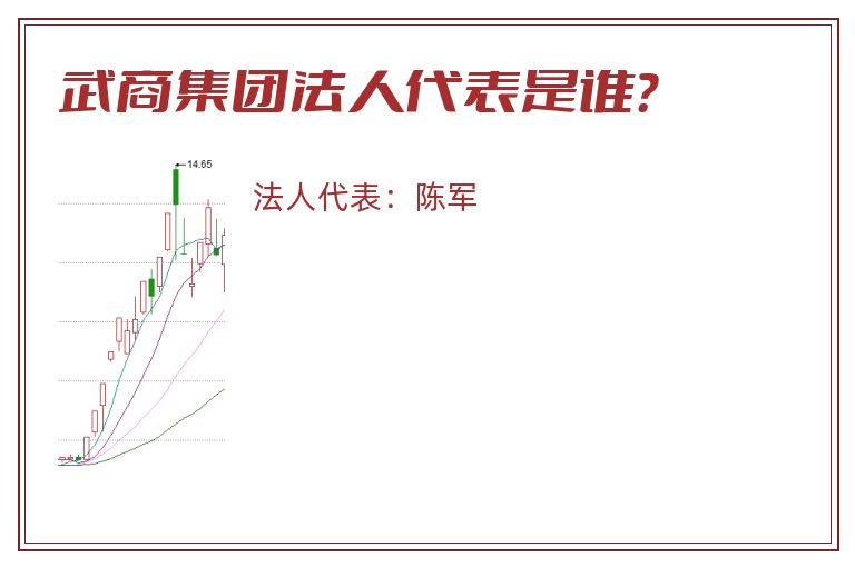 武商集团法人代表是谁？