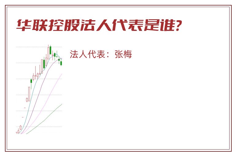 华联控股法人代表是谁？
