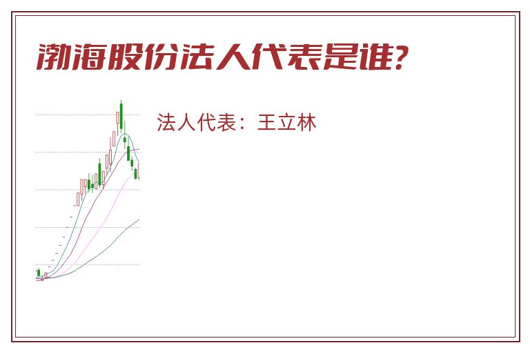 渤海股份法人代表是谁？