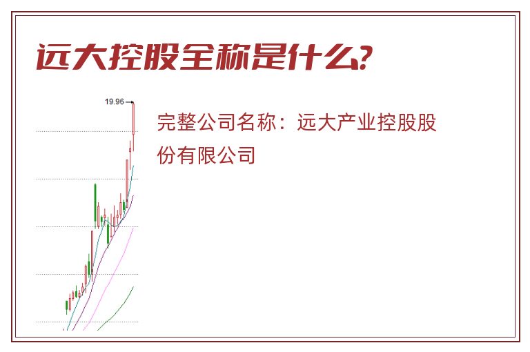 远大控股全称是什么？