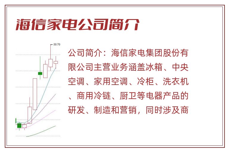 海信家电公司简介