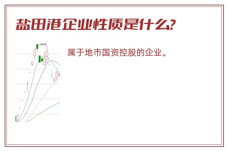 盐田港企业性质是什么？