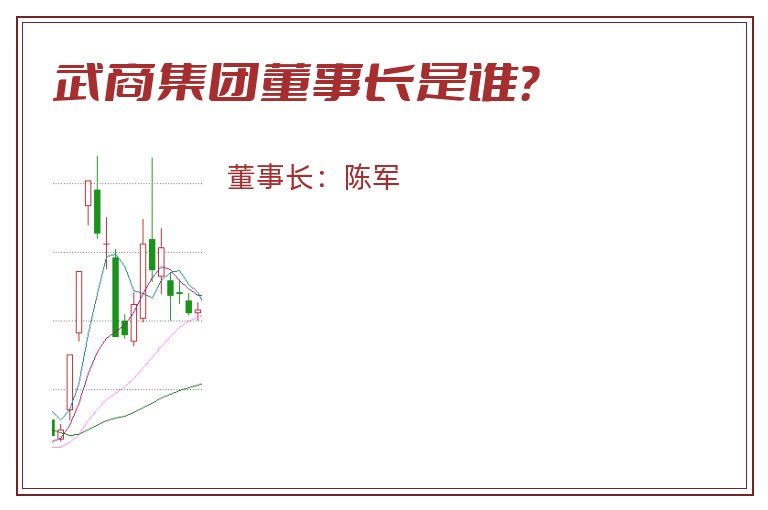 武商集团董事长是谁？