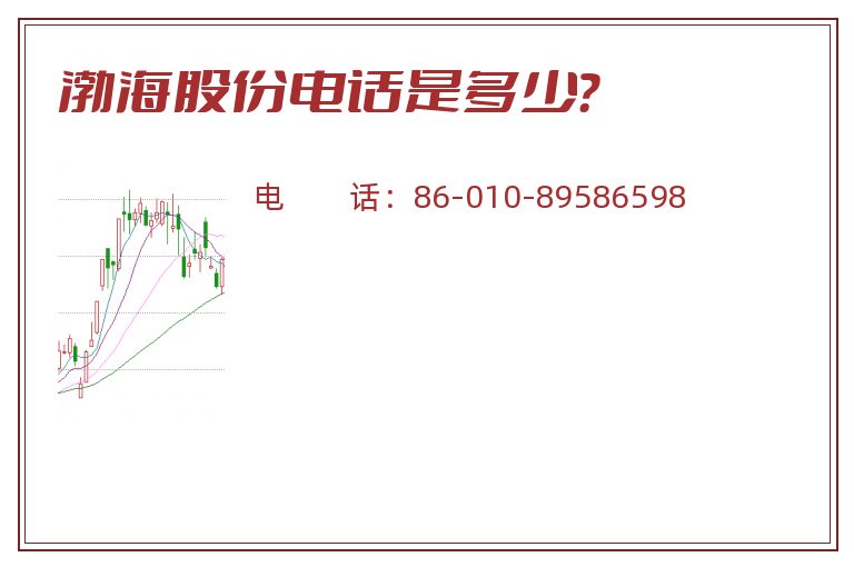渤海股份电话是多少？
