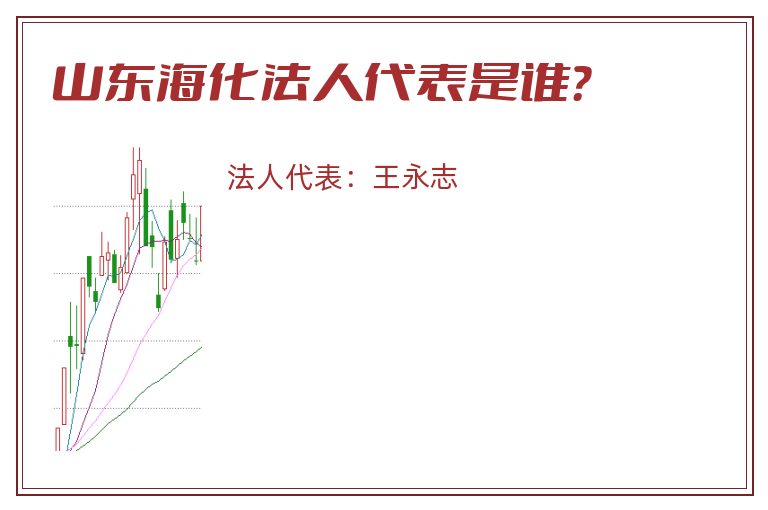 山东海化法人代表是谁?.jpg 山东海化.jpg