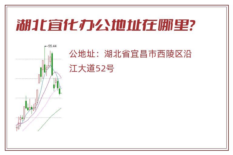 湖北宜化办公地址在哪里？