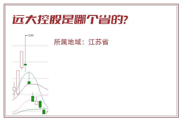 远大控股是哪个省的？