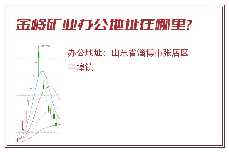 金岭矿业办公地址在哪里？