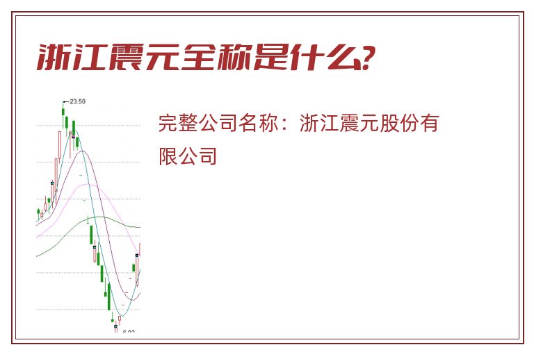 浙江震元全称是什么？
