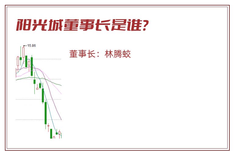 阳光城董事长是谁？