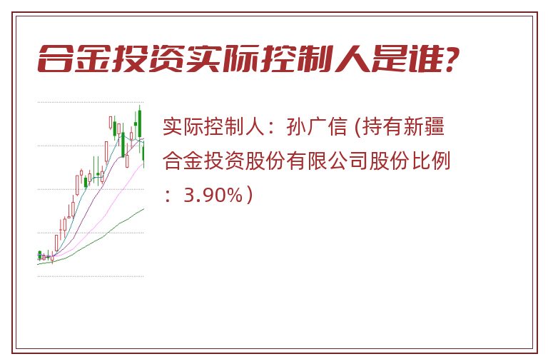 合金投资实际控制人是谁？