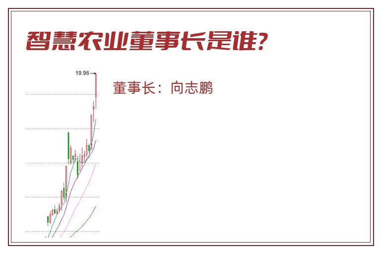 智慧农业董事长是谁？