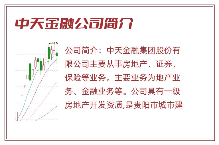 中天金融公司简介