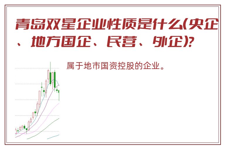 青岛双星企业性质是什么（央企、地方国企、民营、外企）？