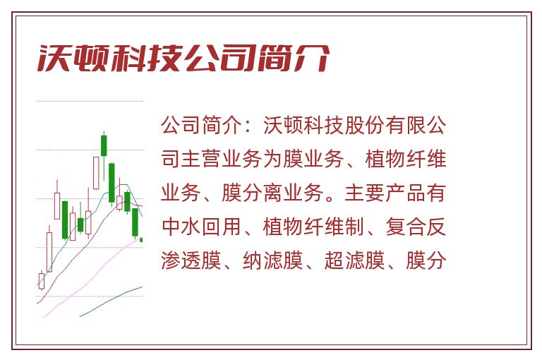 沃顿科技公司简介