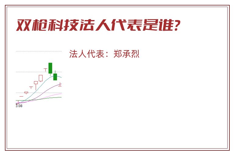双枪科技法人代表是谁？
