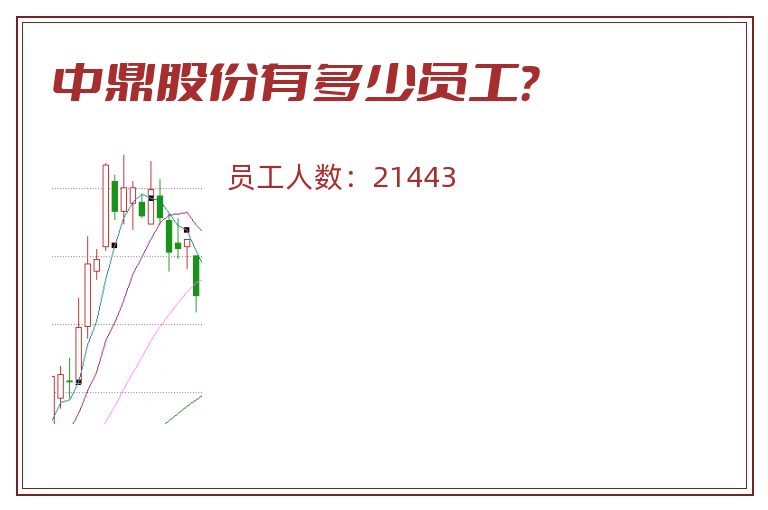 中鼎股份有多少员工?.jpg 中鼎股份.jpg