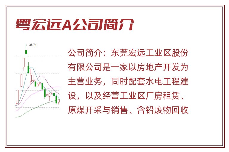 粤宏远A公司简介